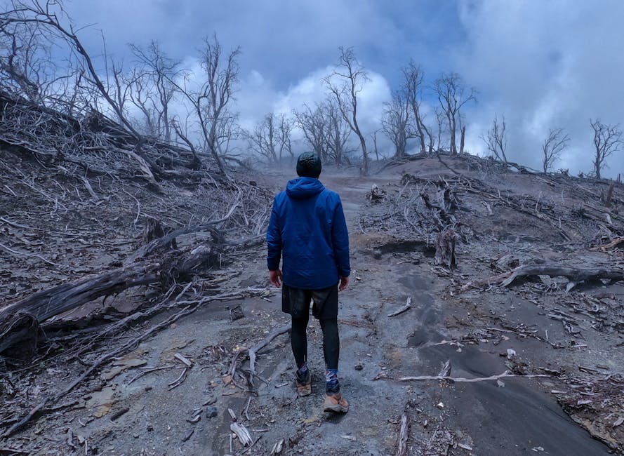 Hiking trail through lush tropical forest near Arenal