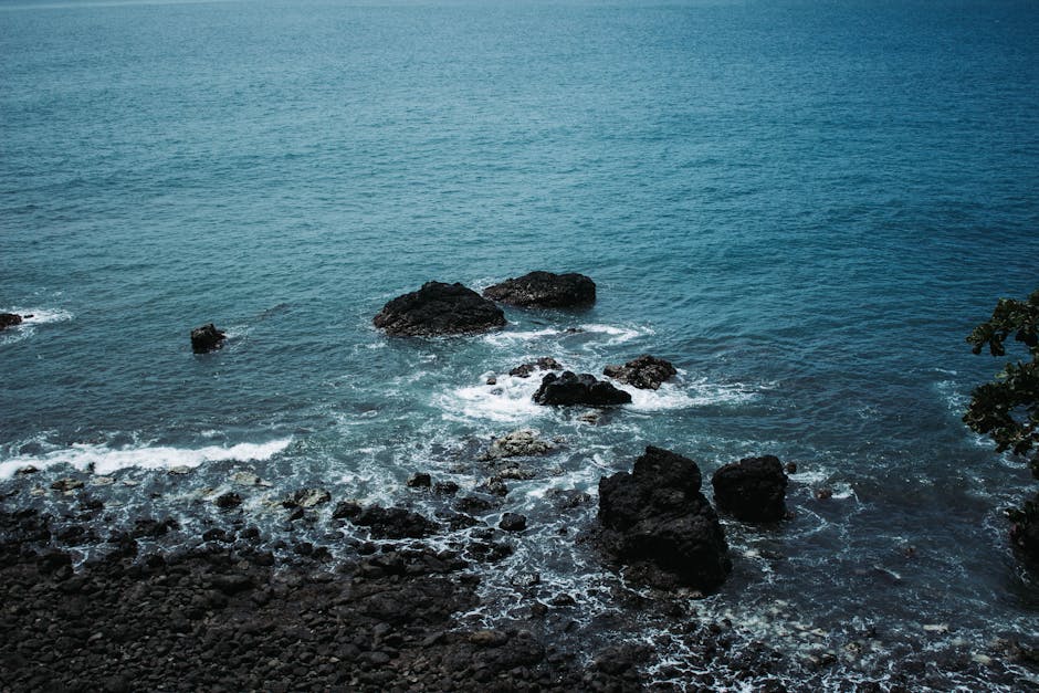 Tropical bay where jungle-covered hills meet the Pacific Ocean