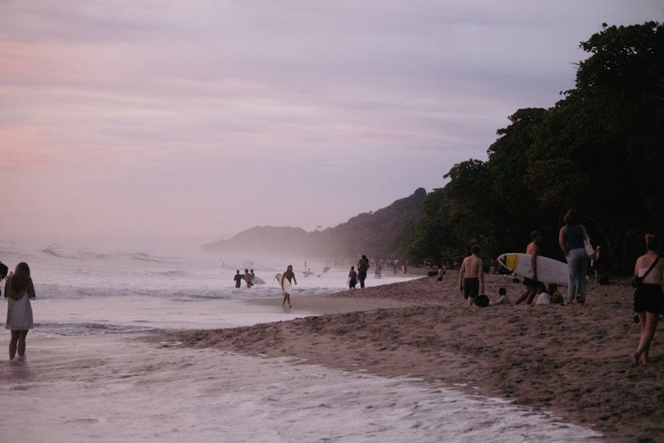 Surfers catching waves at a tropical beach at sunset
