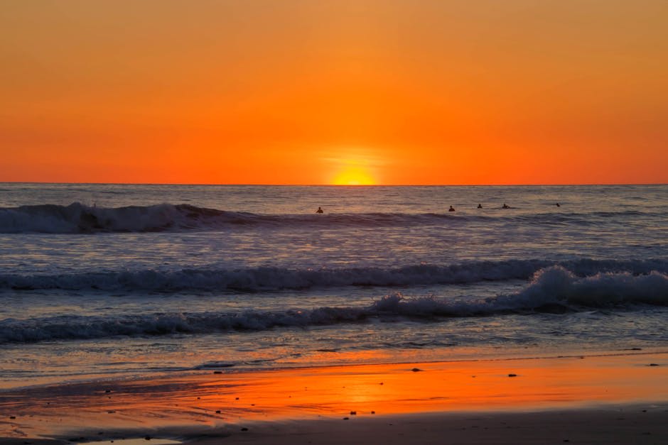 Tropical beach sunset with silhouetted surfers and palm trees