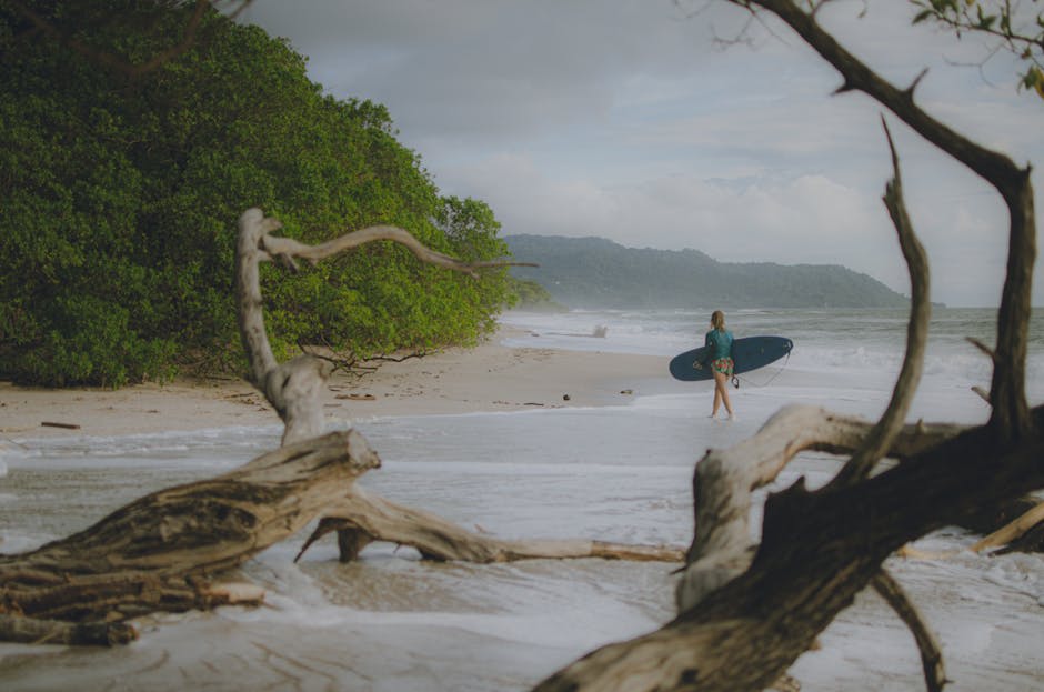 Surfers riding waves at a golden Pacific coast beach