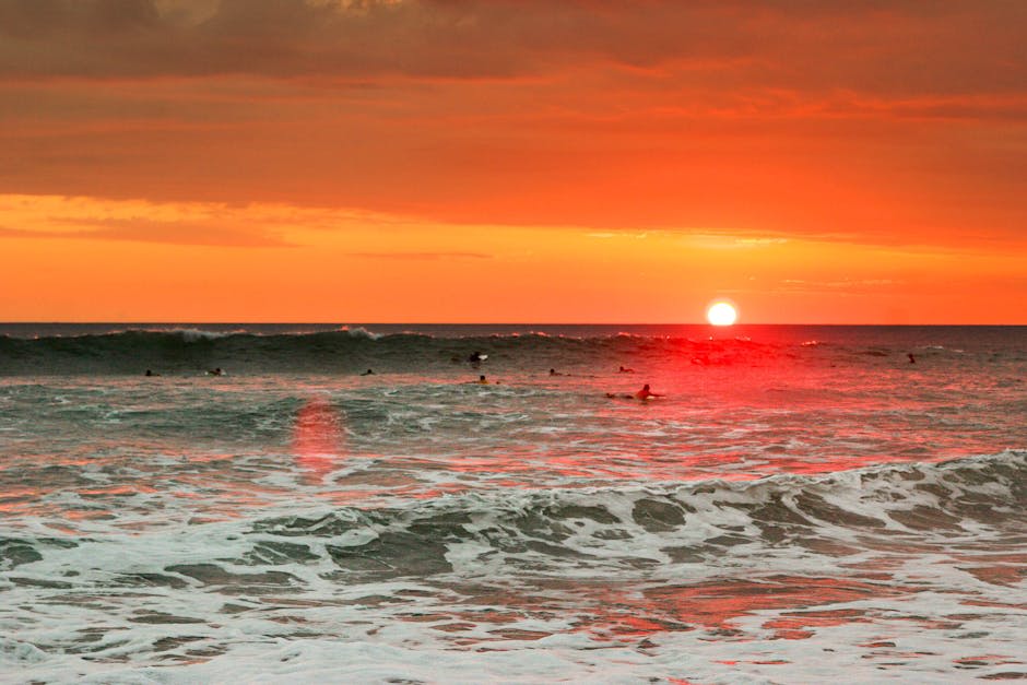 Pacific coast sunset with golden light reflecting on the ocean