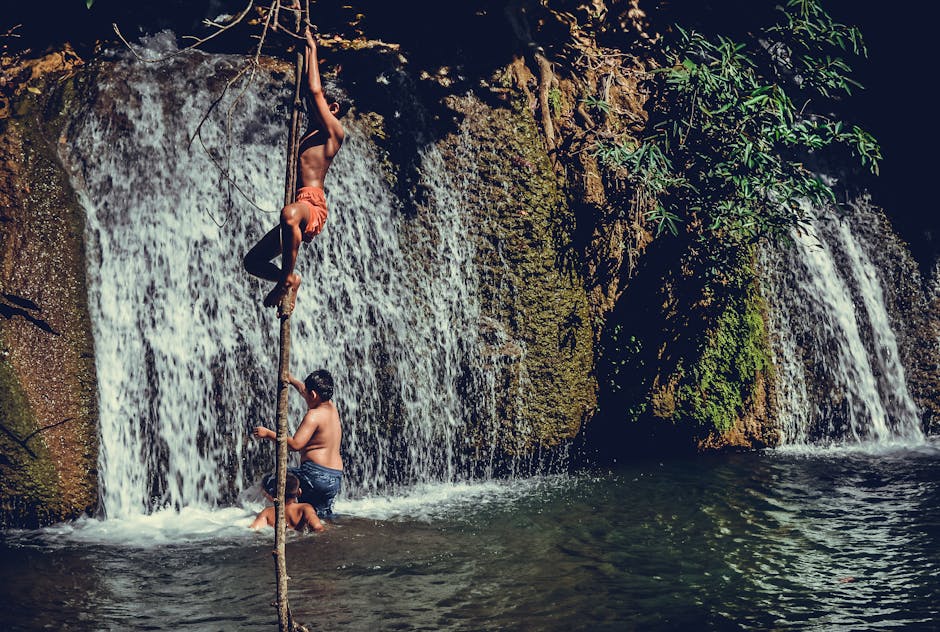 Waterfall cascading into a jungle swimming pool