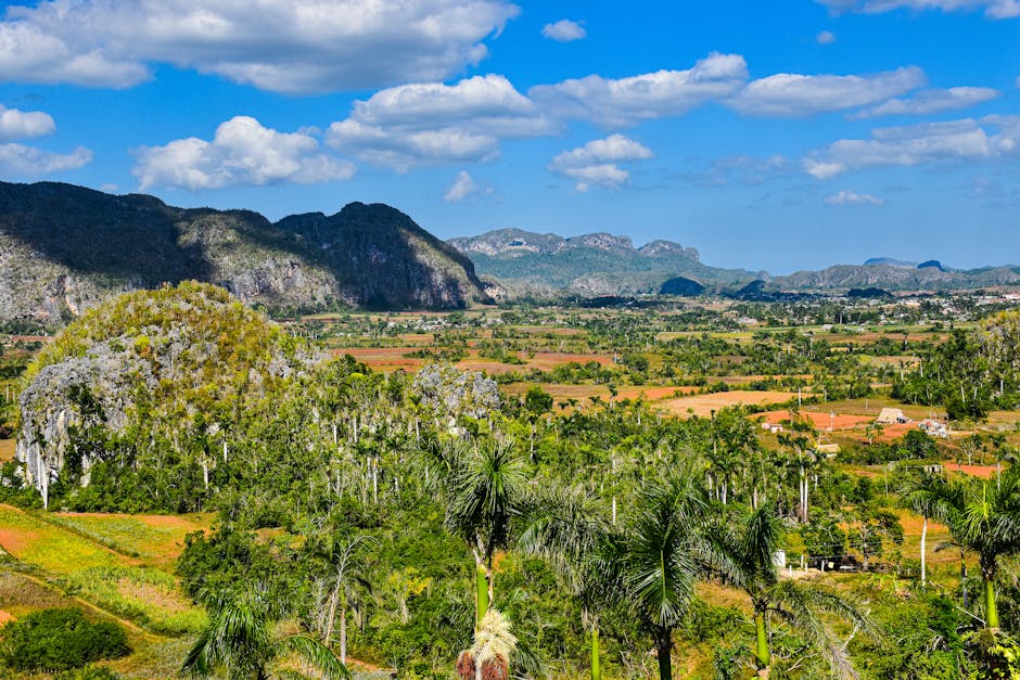The Vinales Valley with tobacco fields and limestone mogotes