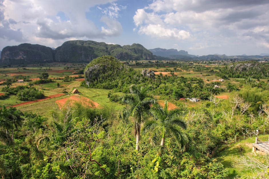 Lush green valley with dramatic limestone mogote formations and palm trees