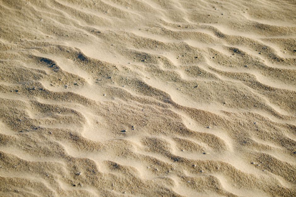 Wind-rippled sand dunes of Ørkenen heath on Anholt island