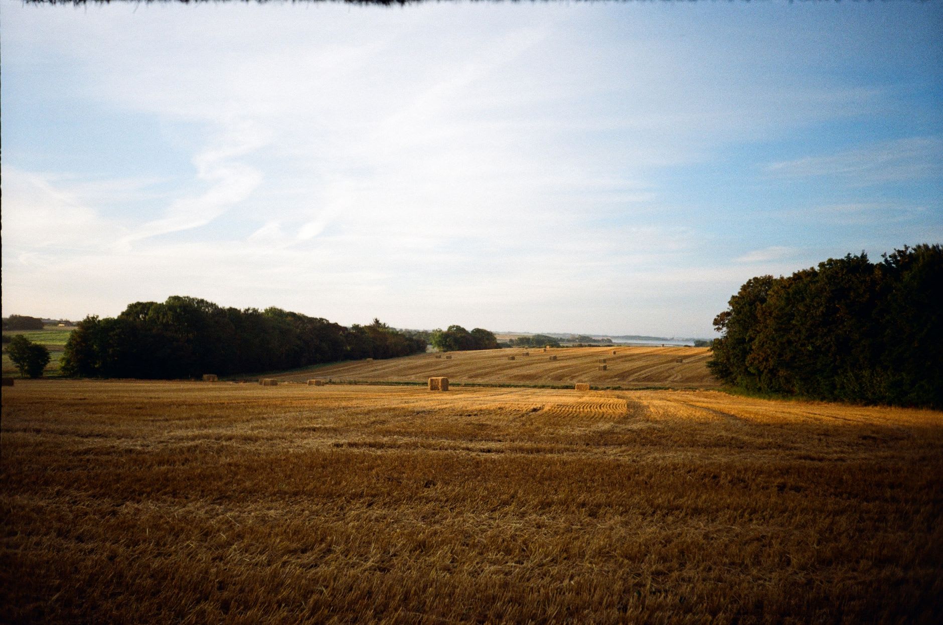 Un tumulus funéraire de l'âge du bronze à la pointe sud de Langeland, son monticule couvert d'herbe s'élevant d'un champ de fleurs sauvages avec les eaux calmes du détroit de Langeland visible au-delà