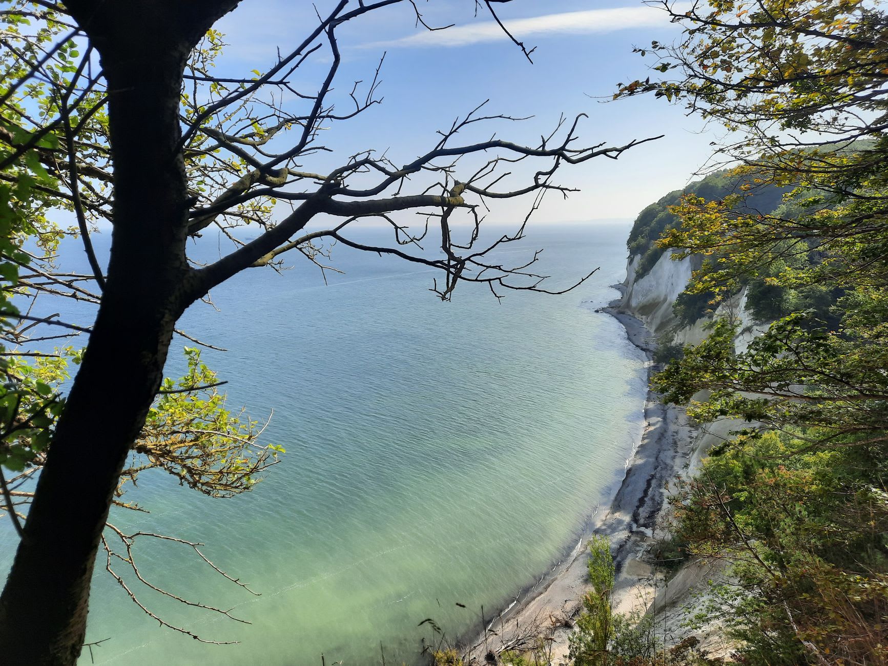 A hiker standing at the cliff edge of Møns Klint looking down toward the white chalk beach below and the Baltic stretching to the horizon