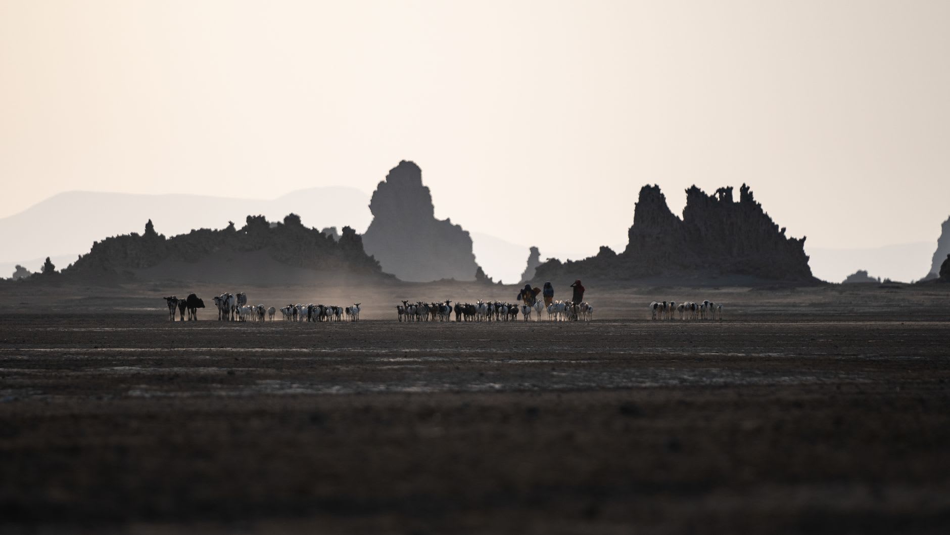 A salt-crusted shoreline near Goubet glaring white under the harsh Djiboutian sun