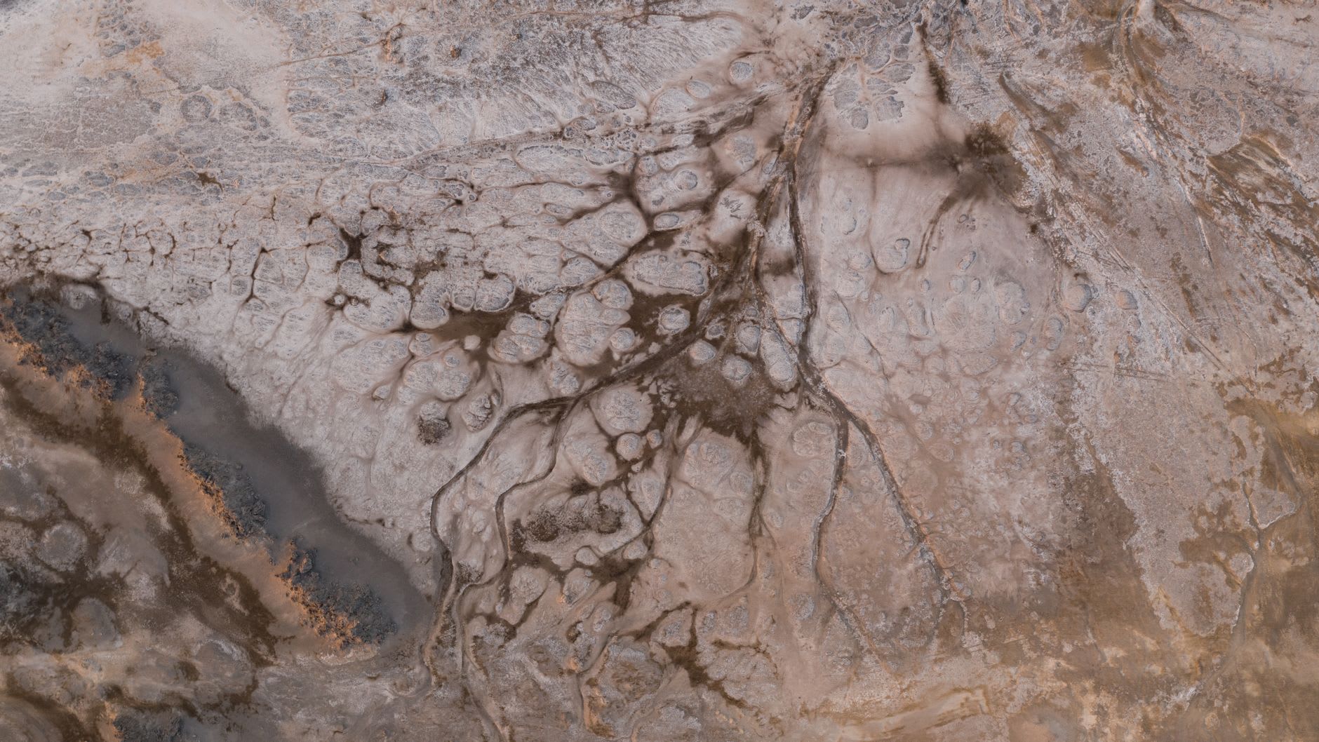 An Afar salt worker cutting blocks from the crystalline shore, camel loaded nearby