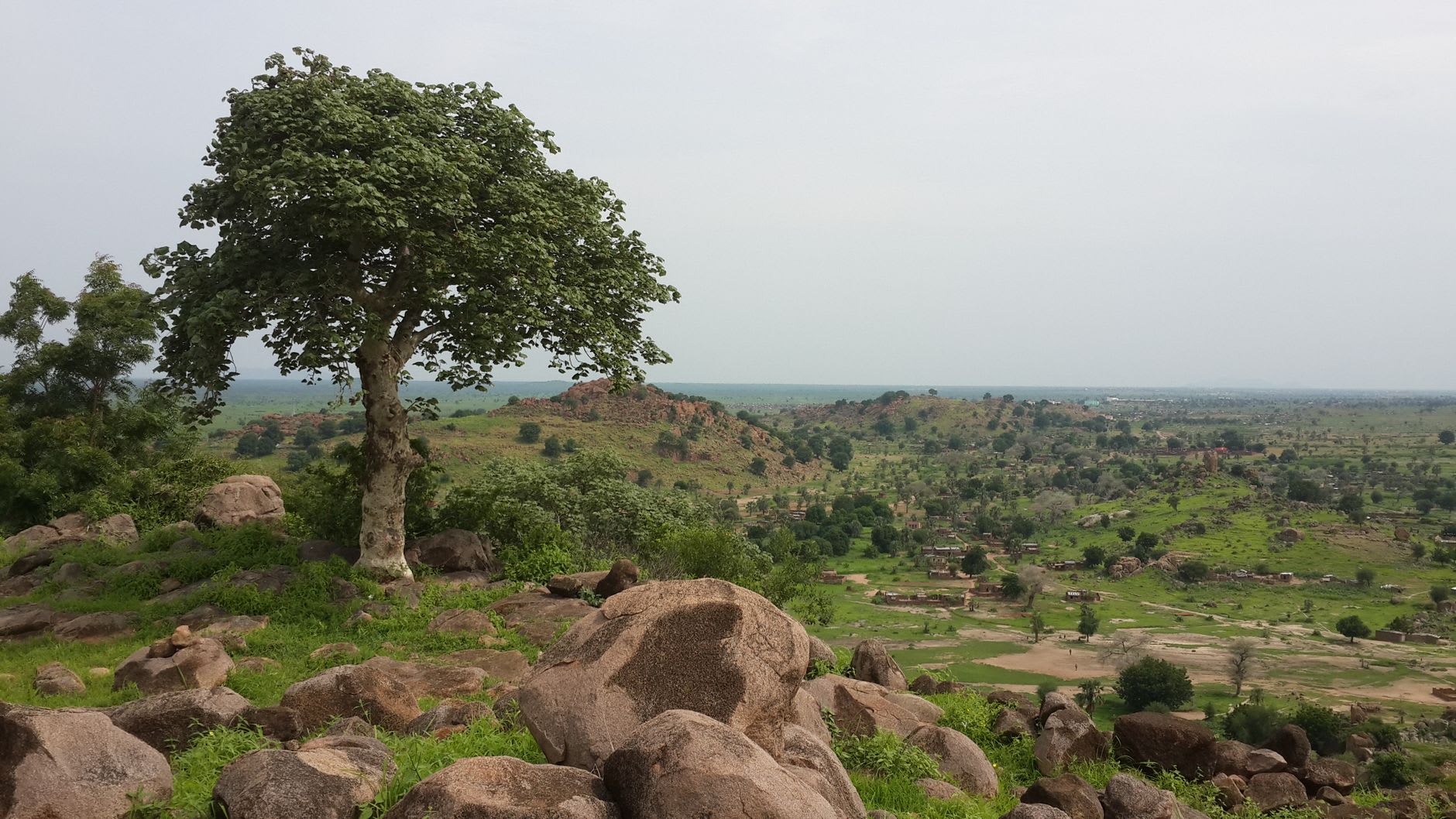 Upper Sangha village rooftops at morning light, conical granary caps visible above flat mud roofs with the plain stretching to the horizon