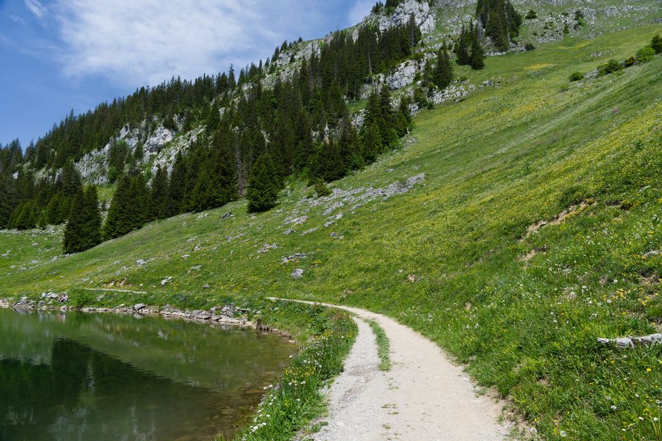 The trail circling Freshwater Lake with mountain grass on one side and dense forest on the other