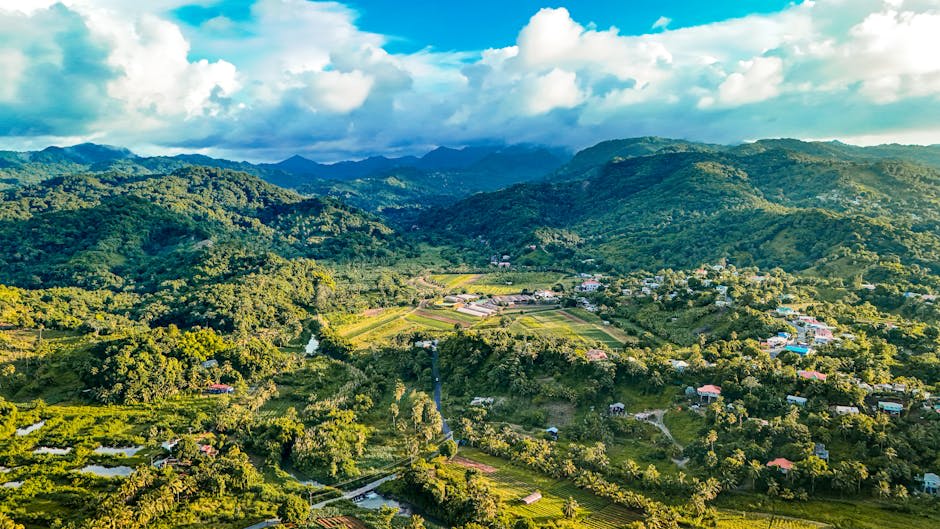 Lush green mountain valley with agricultural fields