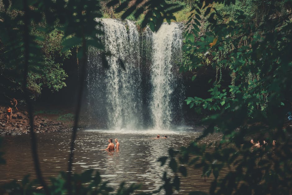 Waterfall cascading through a lush mountain forest