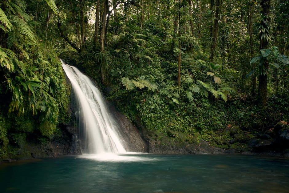 Waterfall cascading into a natural pool in mountain forest