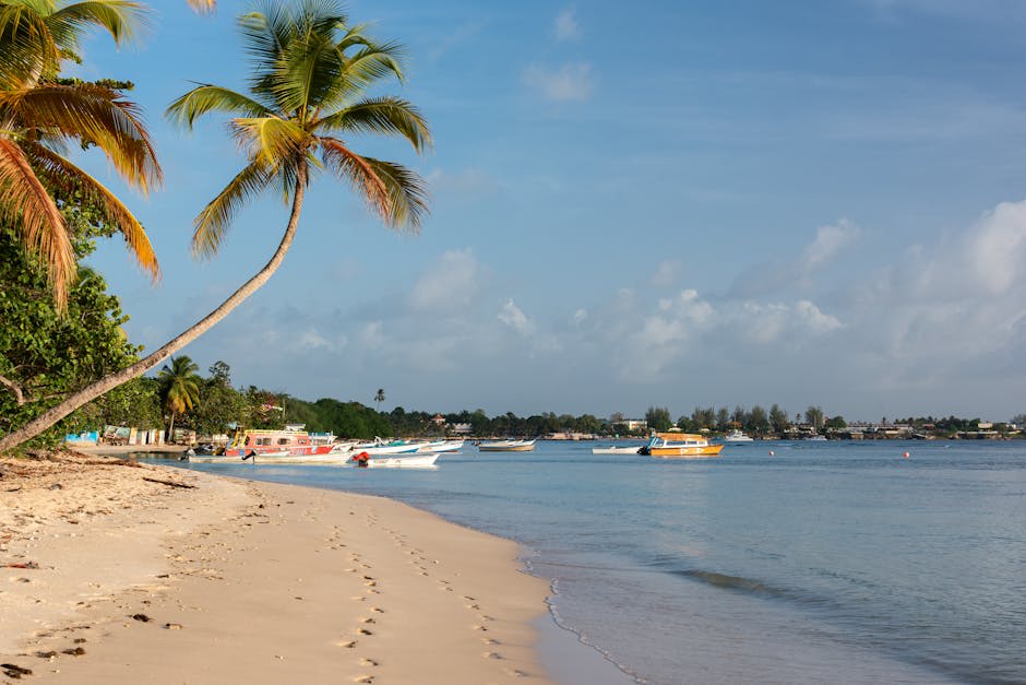 Tropical beach with leaning palm trees and turquoise water