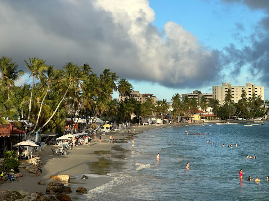 Sunset over the Caribbean coast with palm tree silhouettes