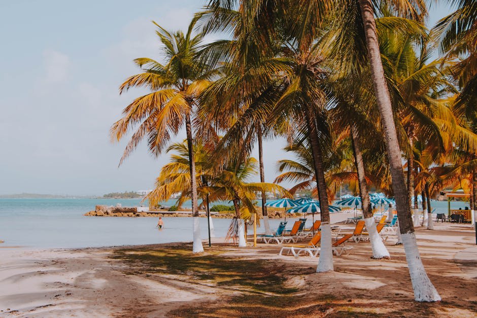 Colourful Caribbean beach town with palm trees