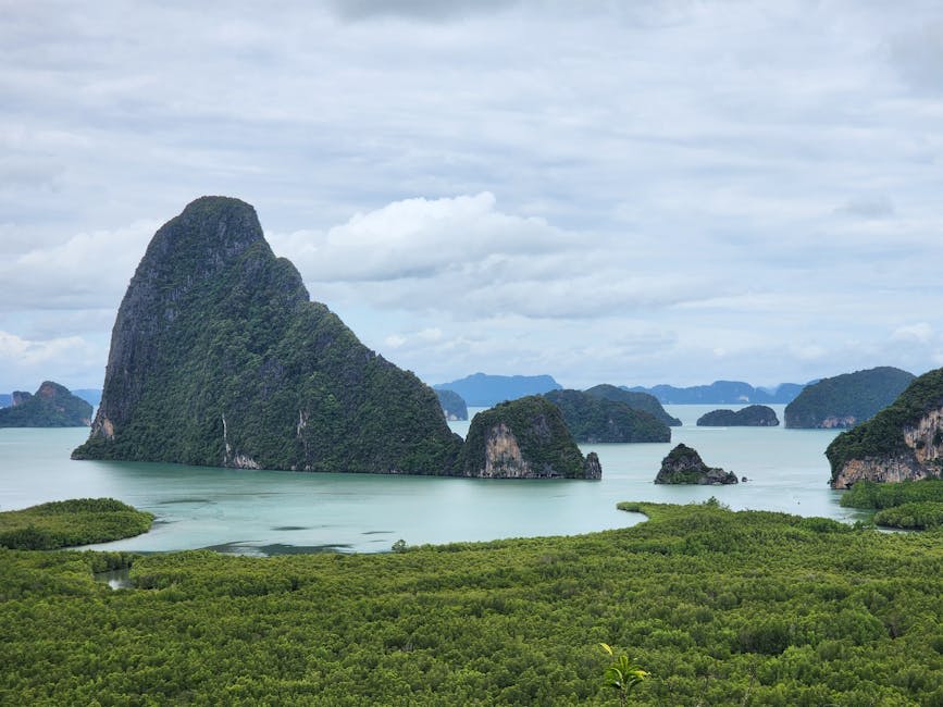 Cave interior with ancient petroglyphs on limestone walls