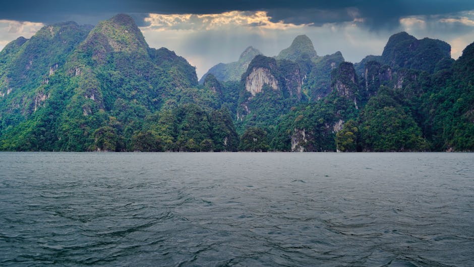 Kayaking through mangrove-lined waterways in the national park