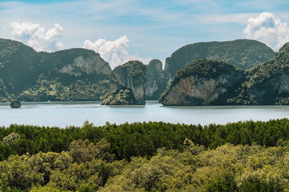 Mangrove channels winding through limestone karst formations