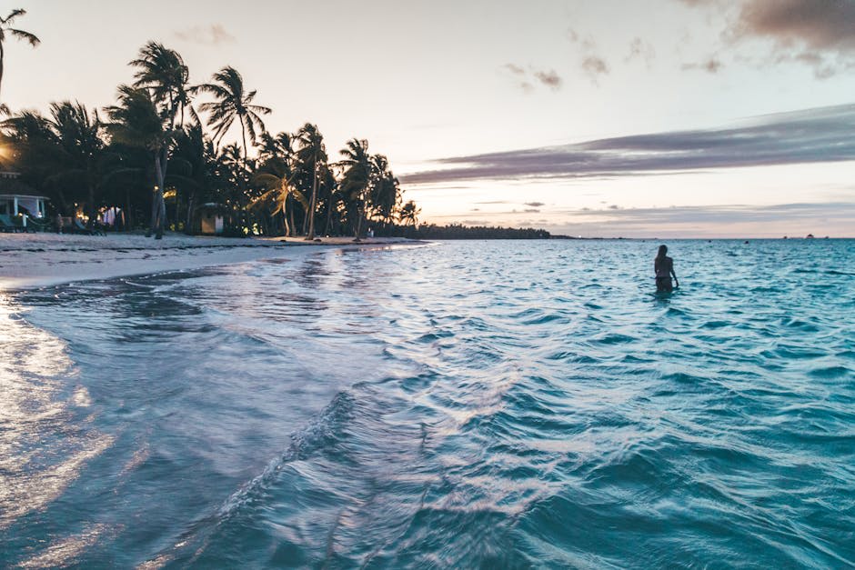 Turquoise waters and palm-lined coast near Punta Cana