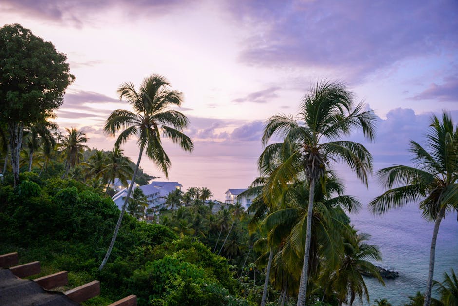 Pristine palm-lined beach on the Samana Peninsula