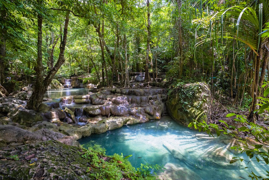 Tropical waterfall cascading into a natural jungle pool