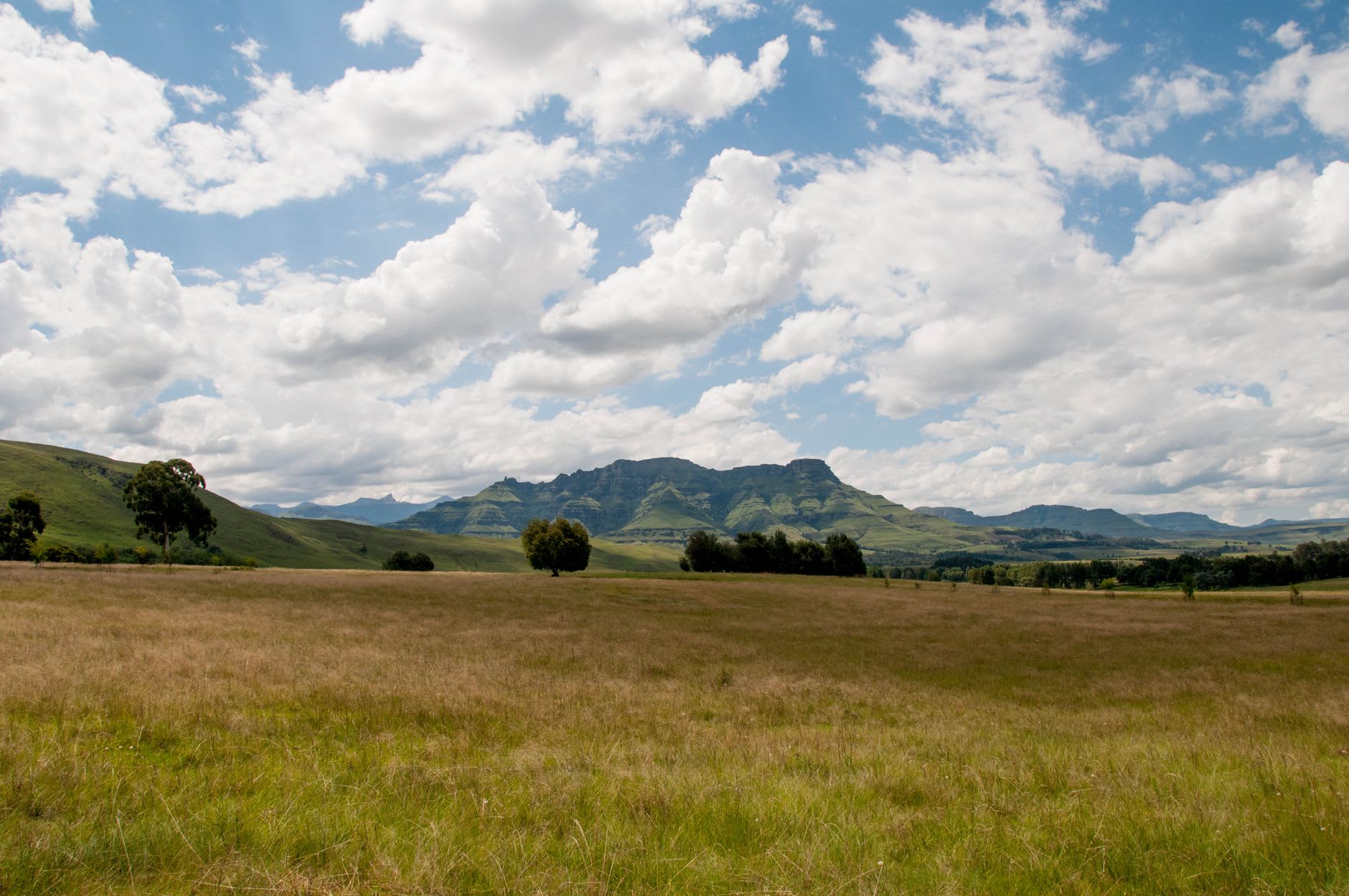 Le chemin de l'escarpement de Bushman's Nek montant vers la frontière du Lesotho, des rochers couverts de lichen au premier plan, le plateau au-dessus