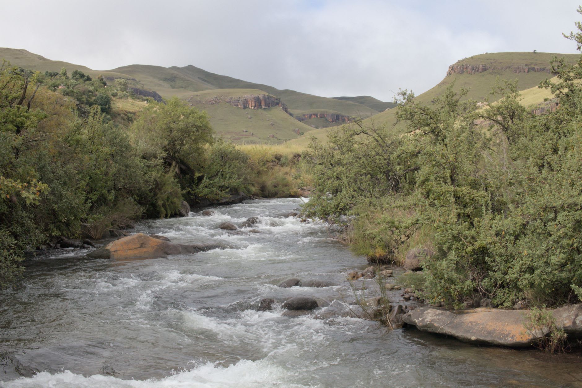 The Tugela River cascading over basalt ledges into the valley below, surrounded by green moss and mist
