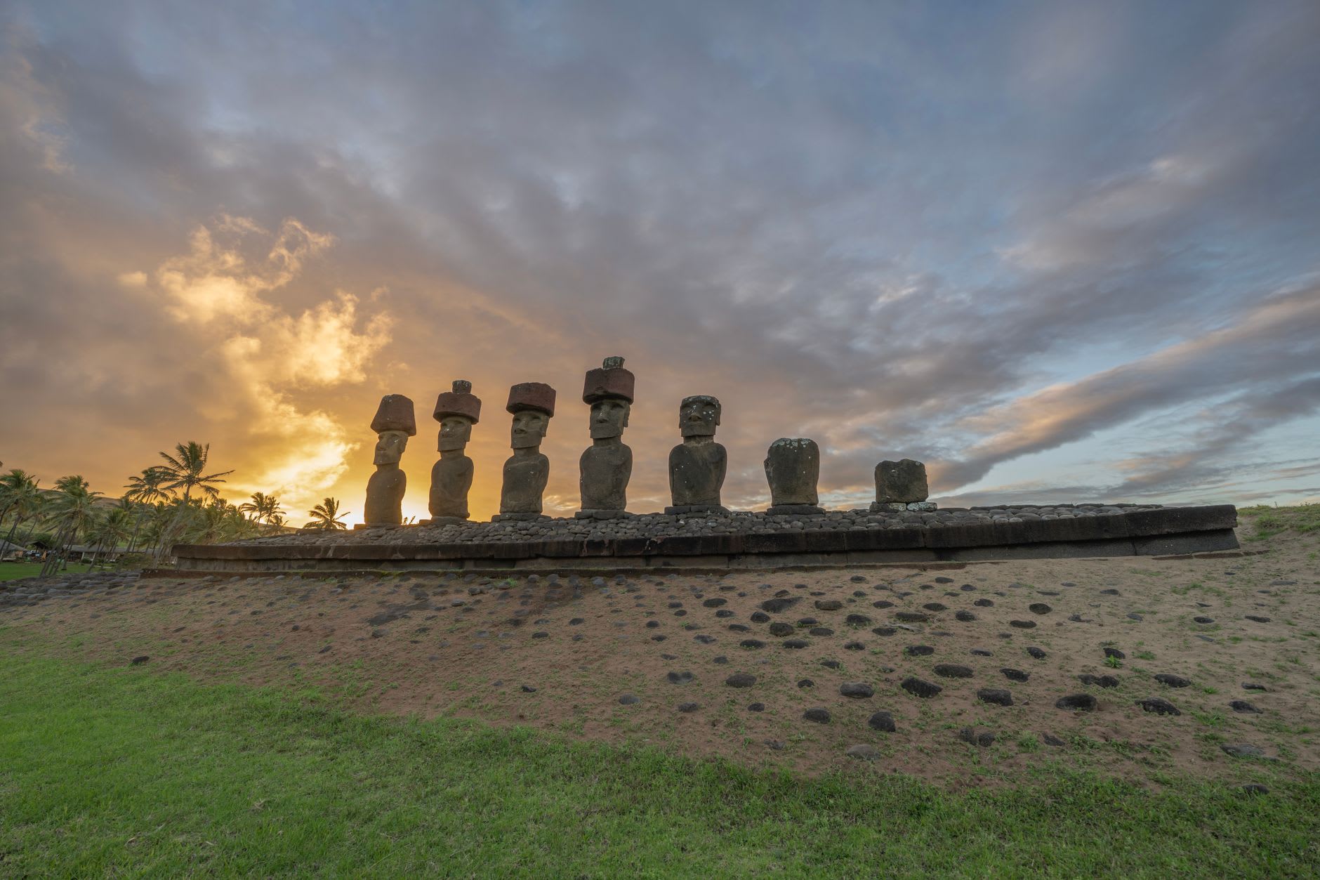The seven moai of Ahu Akivi standing in the grass, facing westward toward the Pacific in the middle of a clear afternoon