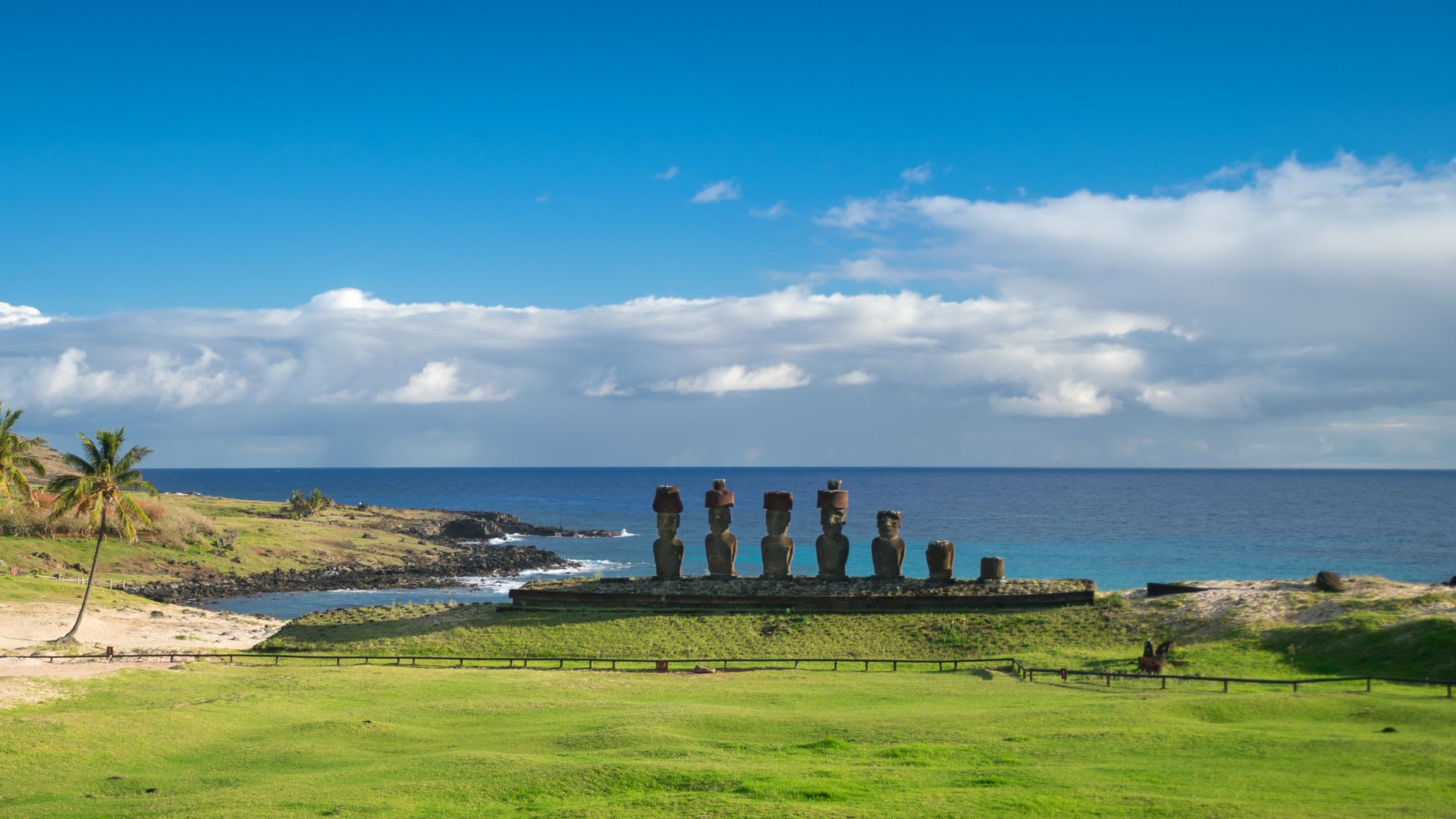 The faces of the Ahu Akivi moai in detail — carved features, elongated chins, deep-set eyes — from close range in afternoon light