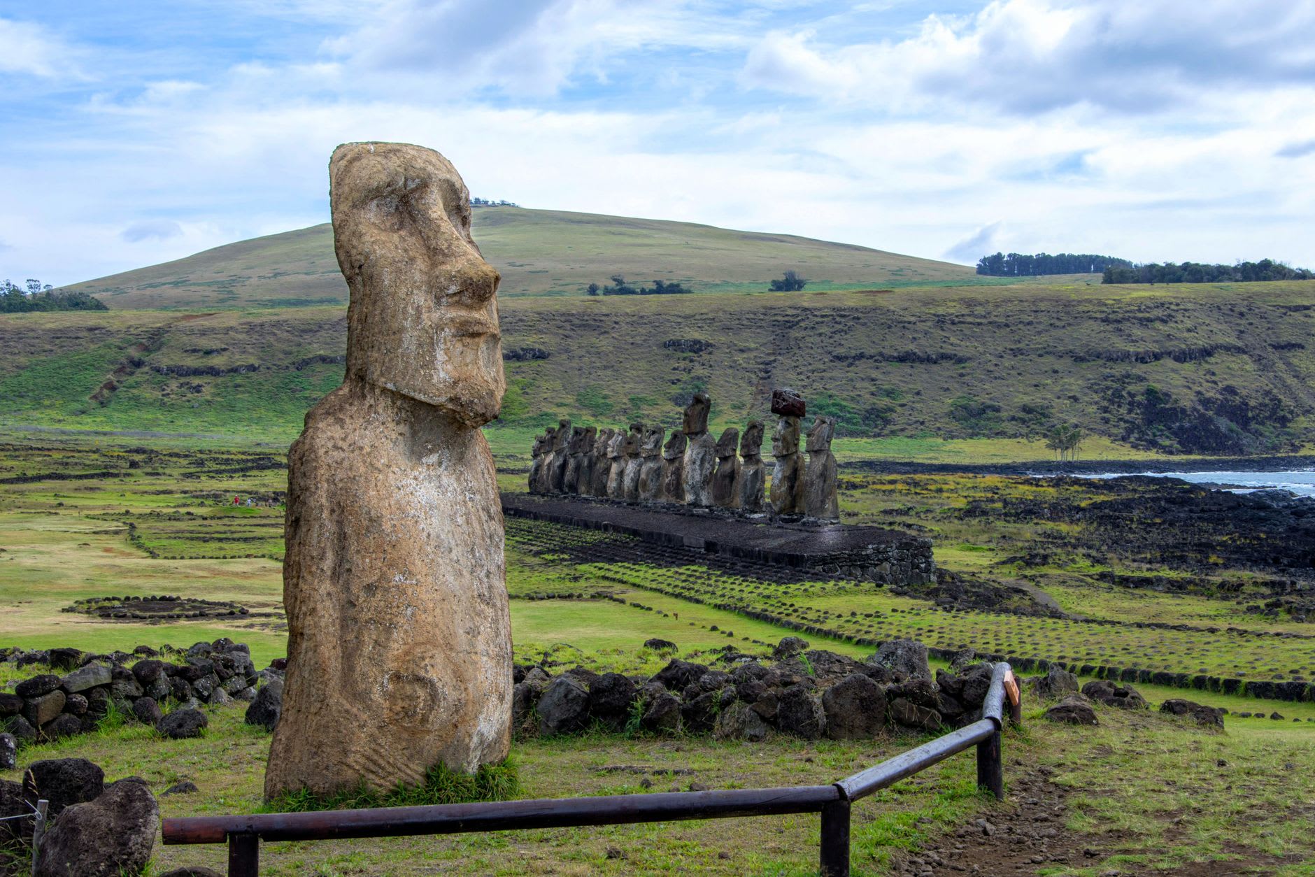The five moai of Ahu Vai Uri standing together on the Tahai complex waterfront, late afternoon shadows stretching behind them