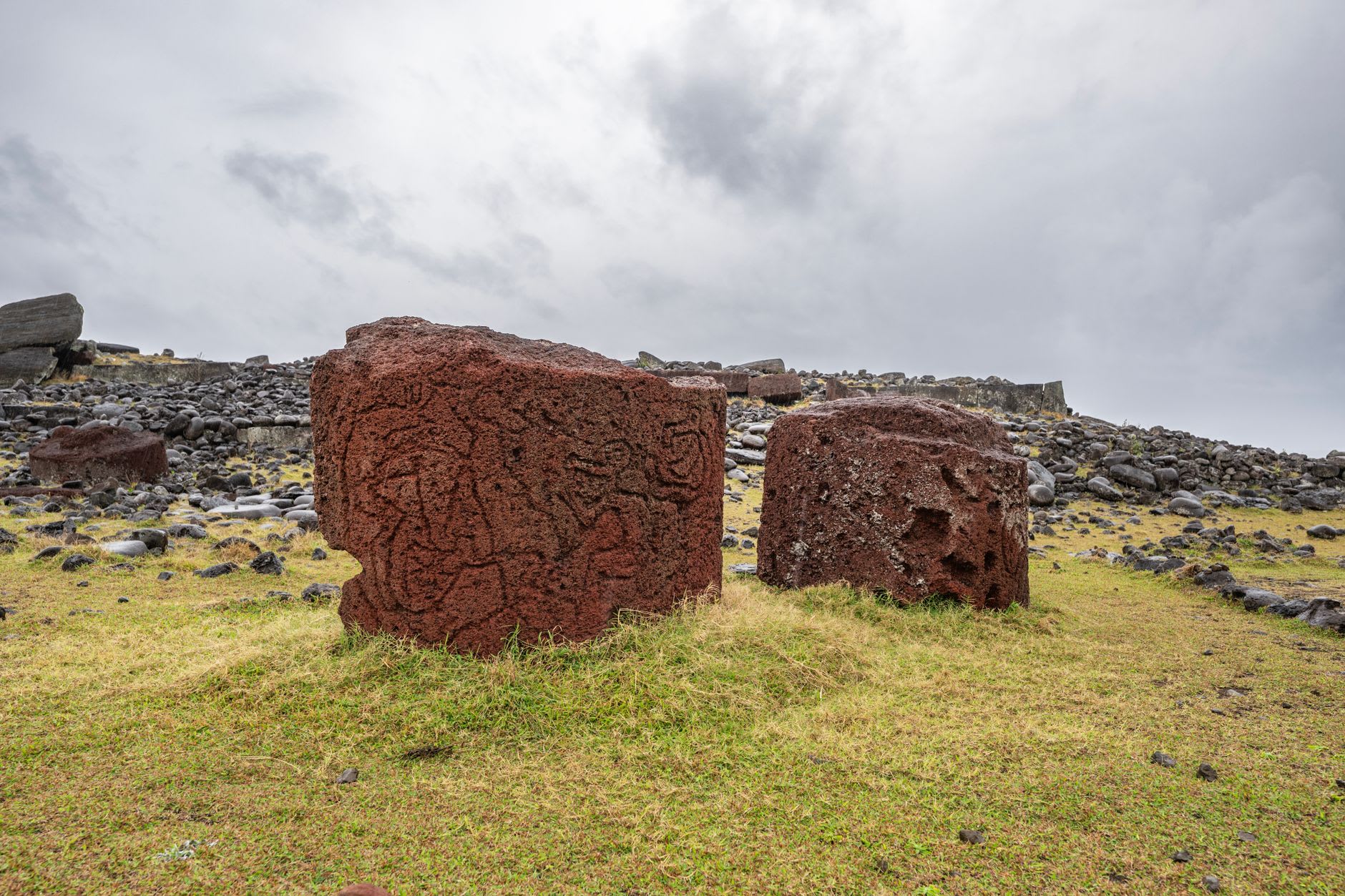 Statues de moai à différents stades d'achèvement émergeant de la pente volcanique herbeuse à Rano Raraku