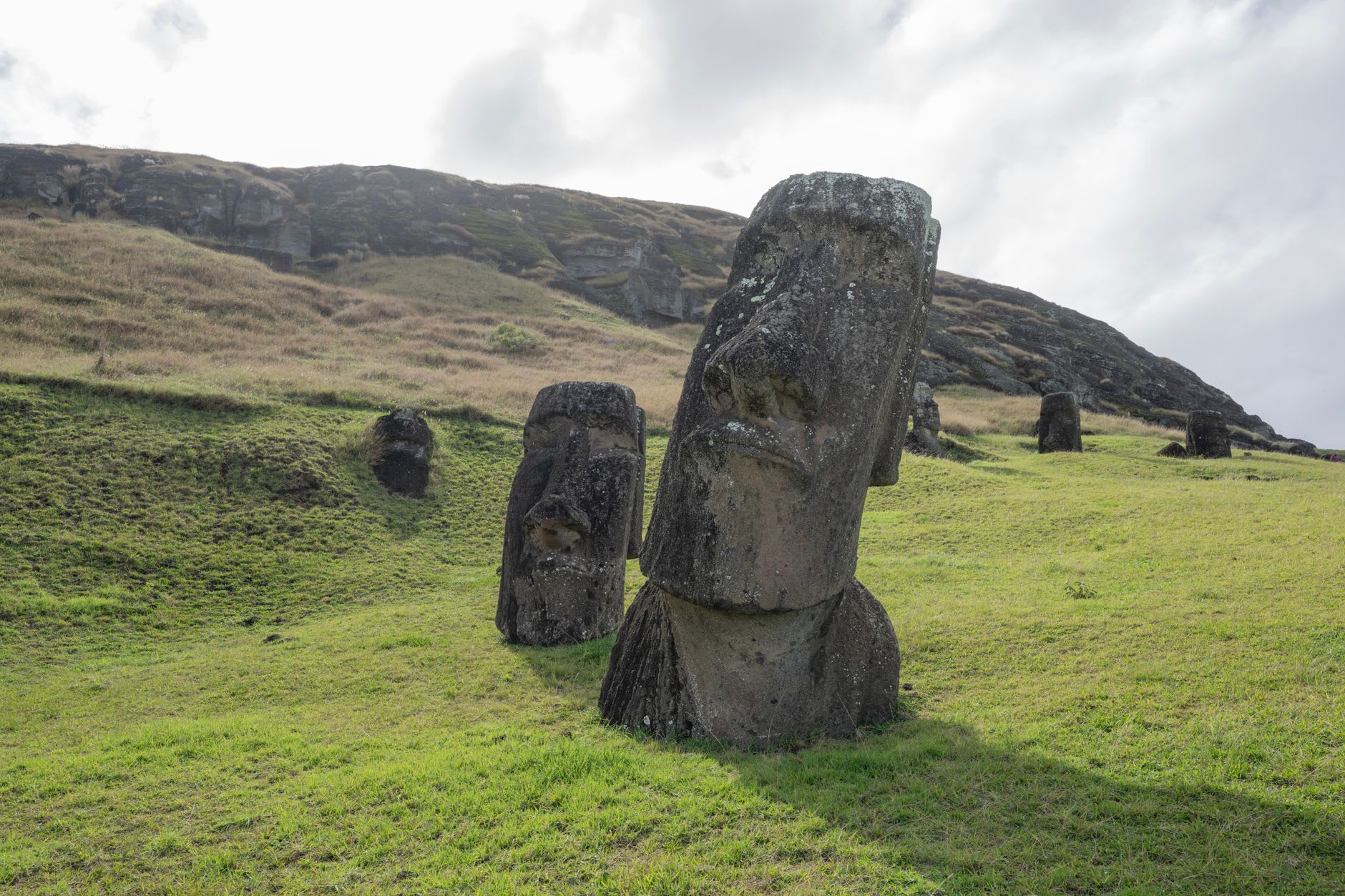 Le lac de la caldera à l'intérieur de Rano Raraku couvert de totora avec des moai debout dans les sédiments tout autour de ses rives
