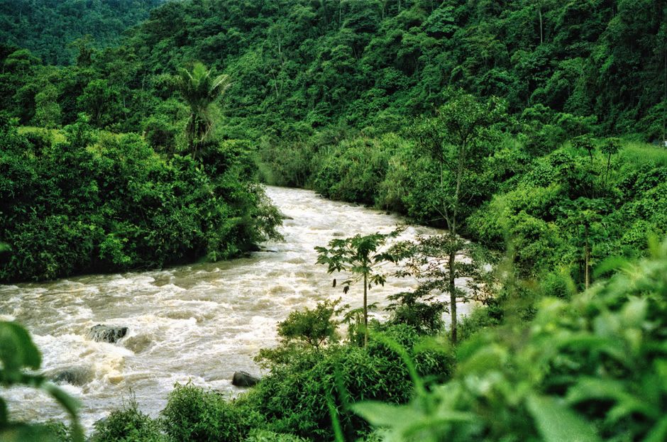 The Napo River near Misahualli, with dense jungle lining both banks and a wooden canoe pulled up on shore