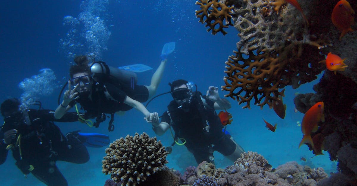 Crystal clear water and coral reefs along Dahab's coastline
