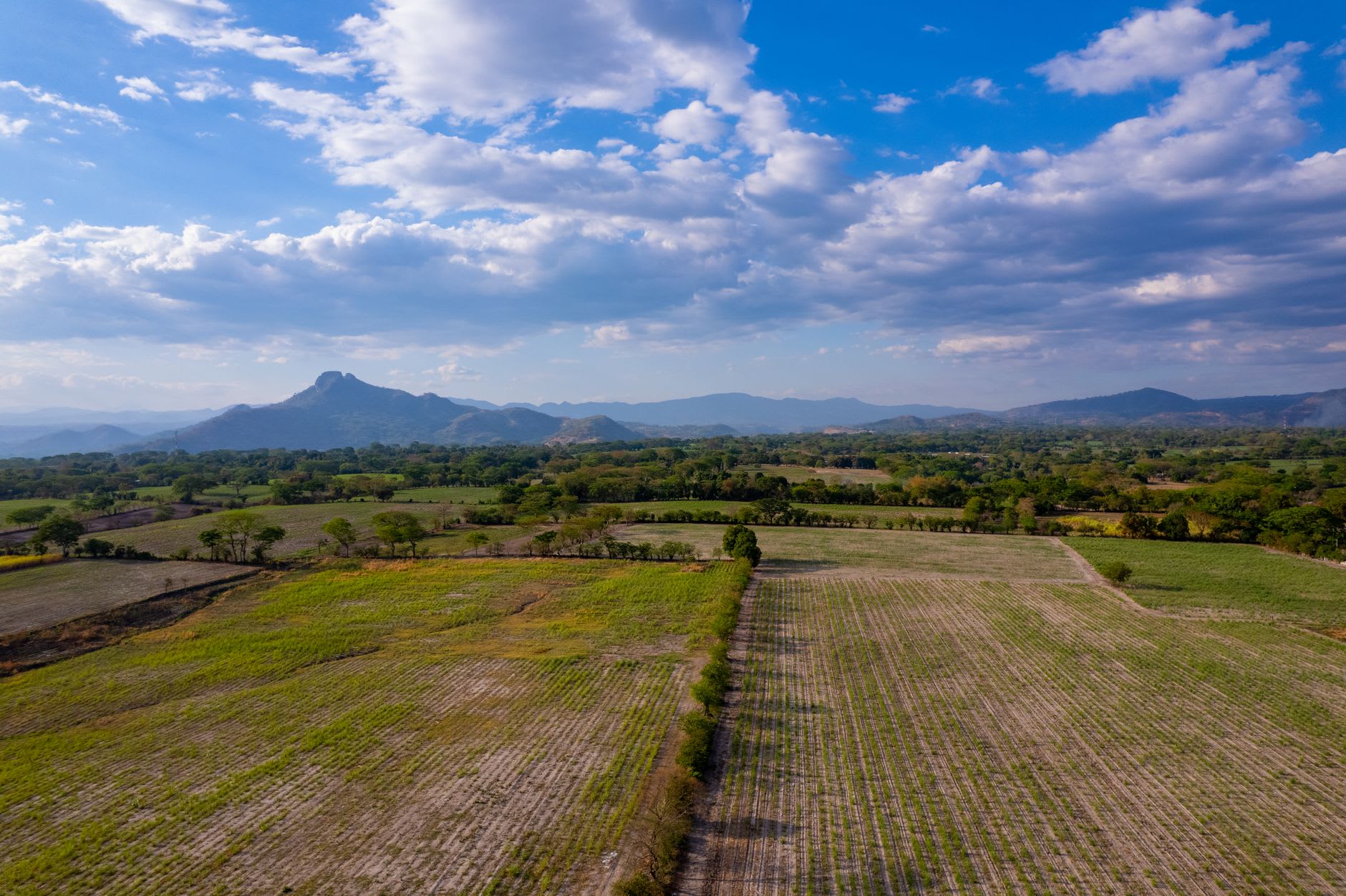 The preserved agricultural fields at Joya de Cerén with furrow lines and plant root casts still visible in the volcanic ash layer