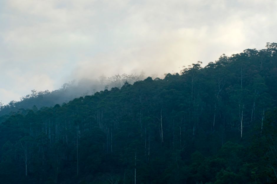 Mist settling over the forested hills surrounding Evinayong at dusk
