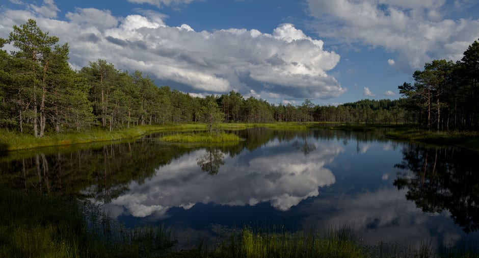 Lake Puhajarv near Otepaa surrounded by green wooded hills under a summer sky