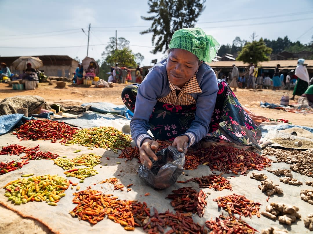 Cerezas de café secándose en camas elevadas cerca de una pequeña finca en las afueras de Jimma
