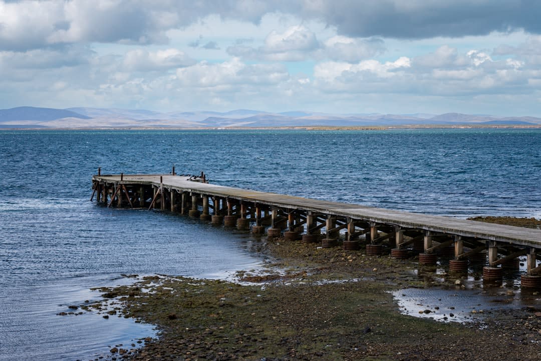 Weathered wooden shelter remnants near the coast of Weddell Island