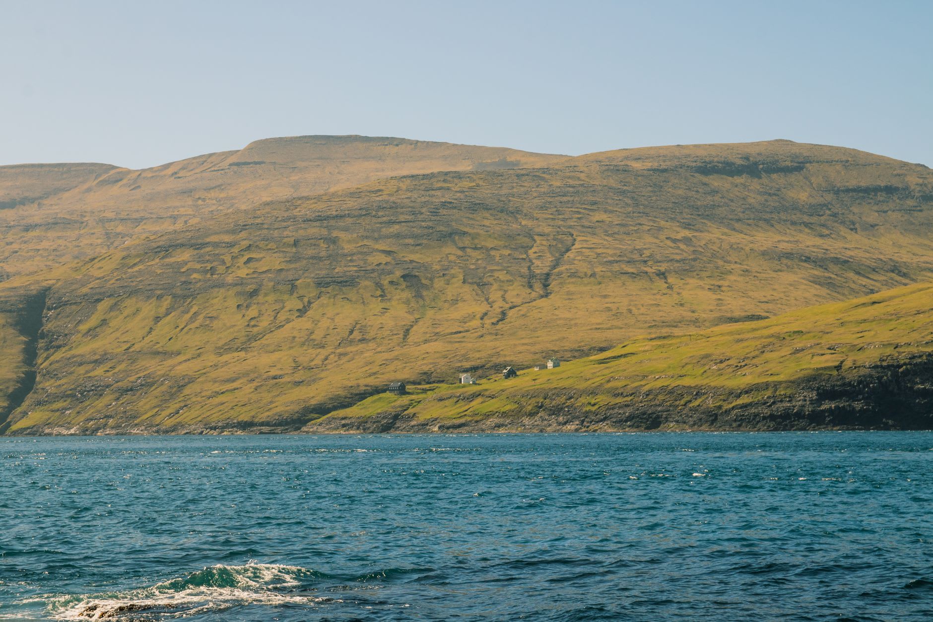 Atlantic puffins nesting in the clifftop grass above Mykines with the North Atlantic below
