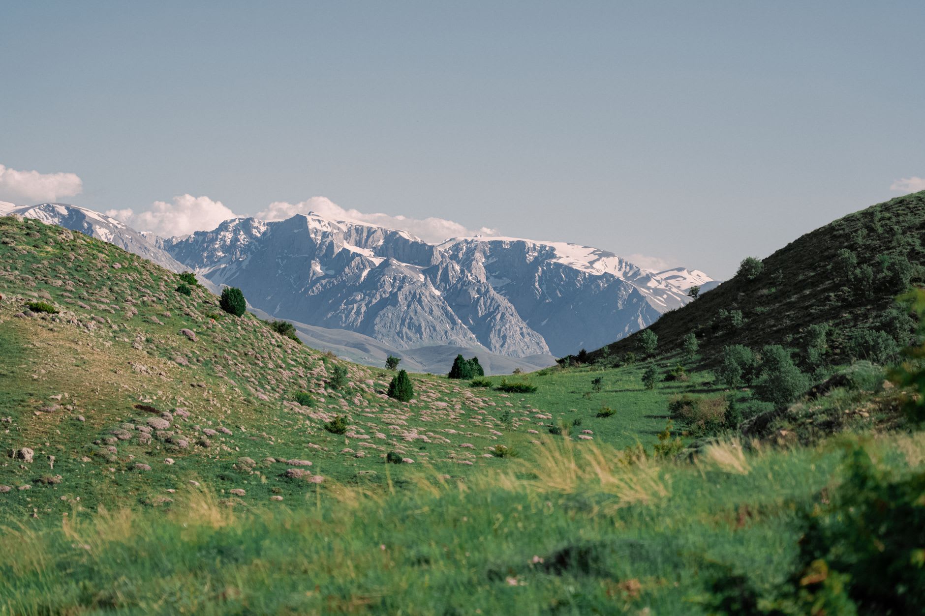 Pilgrims at the Khoja Minhoj mausoleum complex in Namangan, the domed shrine visible through cypress trees