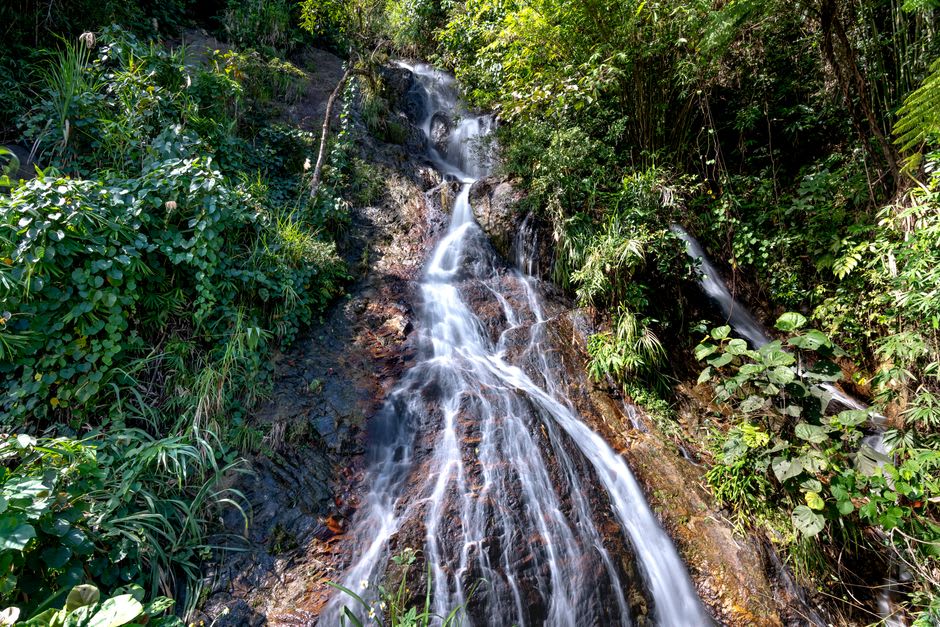 Des baigneurs se rafraîchissant dans le bassin sous la cascade de Biausevu sur la Côte de Corail des Fidji