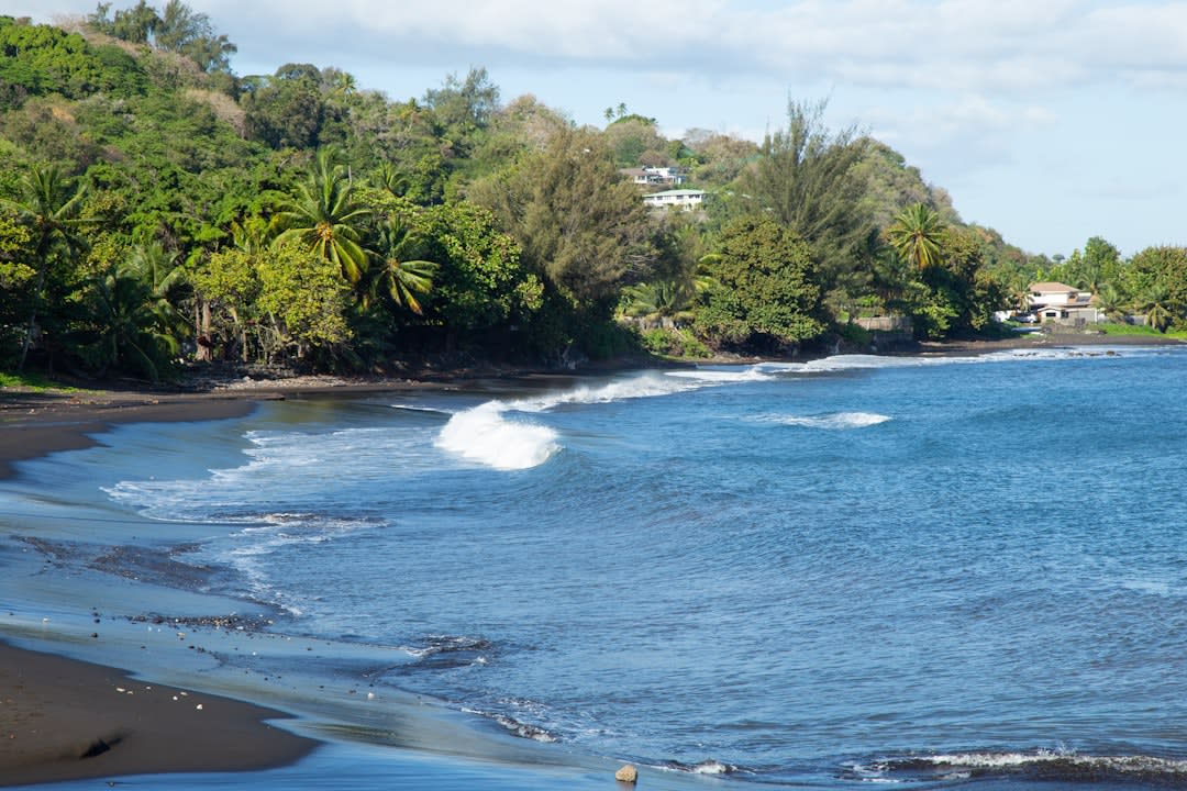 Un bure de lodge écologique alimenté à l'énergie solaire, construit sur une colline verdoyante à Matava, sur la côte sud-est reculée de Kadavu, surplombant une baie calme et protégée