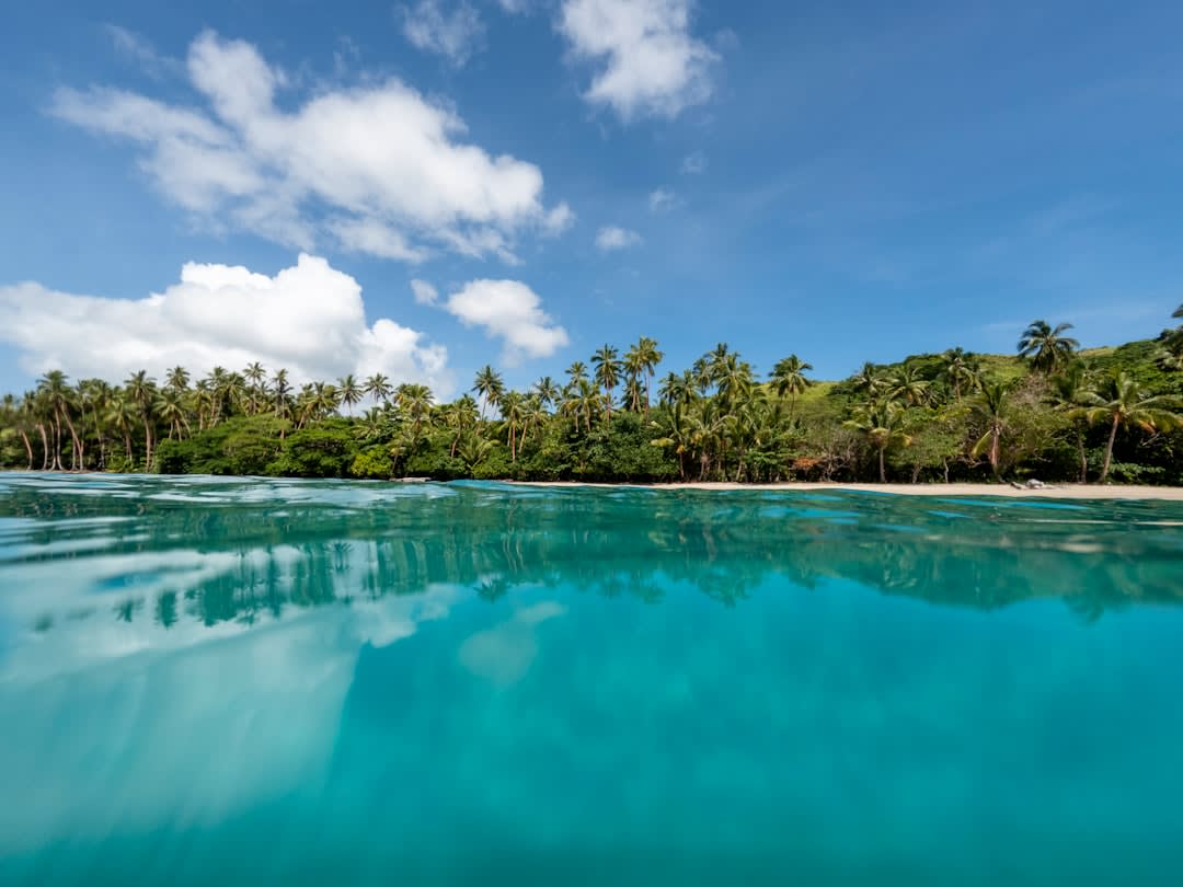 Une balade en kayak dans un chenal de mangrove près de Matava à marée basse, avec des systèmes racinaires exposés et des hérons pêchant dans les hauts-fonds