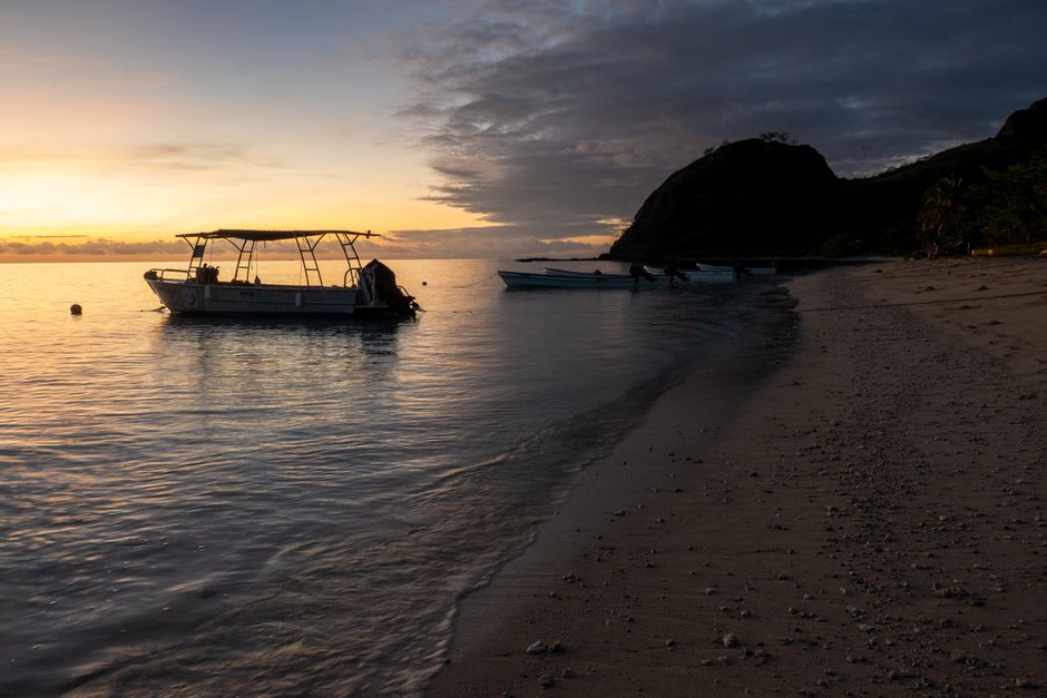Fruit bats streaming out from the forest at dusk over the Namalata Isthmus near Vunisea, silhouetted against an orange sunset sky