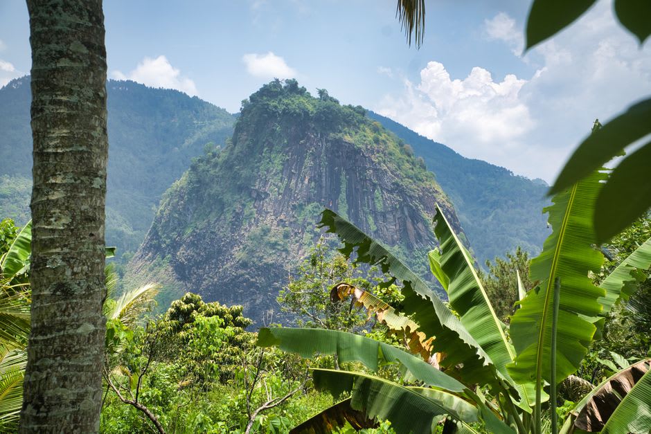 Un arroyo transparente de agua dulce corriendo por la Reserva de Selva Tropical Waisali, cortando entre rocas cubiertas de musgo bajo un denso dosel forestal