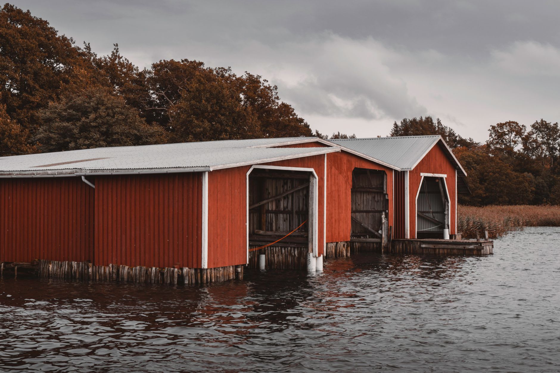 A bicycle leaning against a red farm fence on a quiet Åland country road, pine forest and glimpsed sea water beyond